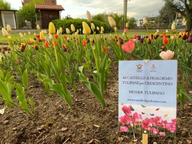 I tulipani del Castello di Pralormo sono fioriti al Parco Tournon