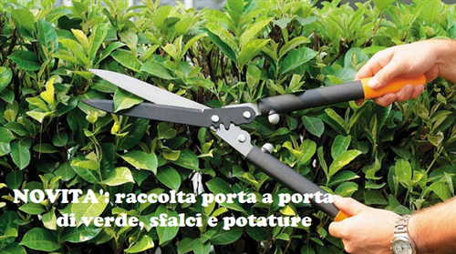 Servizio di raccolta porta a porta del verde, sfalci e potature